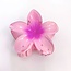 E&S Accessories Plumeria Hair Claw (more colours)