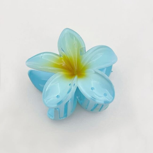 E&S Accessories Plumeria Hair Claw (more colours)