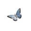 Fable England Fable Enamel Blue Butterfly Brooch