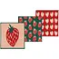 Danica Imports Berry Sweet Knit Dishcloth Set of 3
