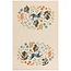 Danica Imports Dogwood Dishtowels Set of 2