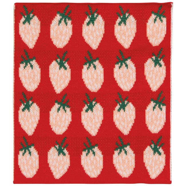 Danica Imports Berry Sweet Knit Dishcloth Set of 3