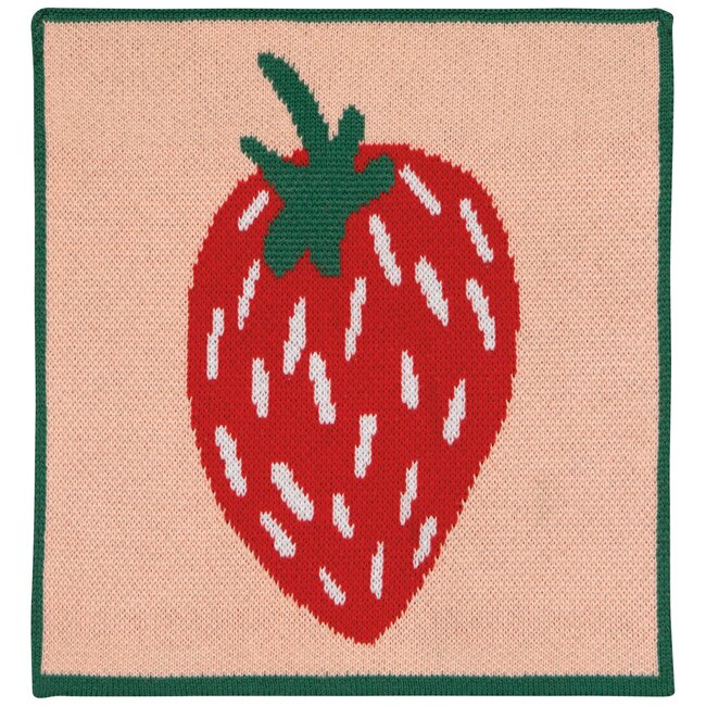 Danica Imports Berry Sweet Knit Dishcloth Set of 3