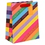Bag Large Happy Birthday Slide