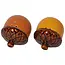 Acorns Salt and Pepper Shakers - Set of 2