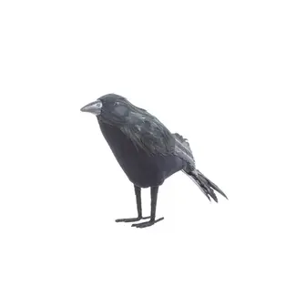 Black Crow Figurine