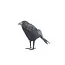 Black Crow Figurine