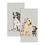 WRENDALE 'FIRST DATES' Dog Pocket Tissues
