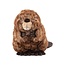 WRENDALE 'CHESTER' Beaver Character - Medium Plush