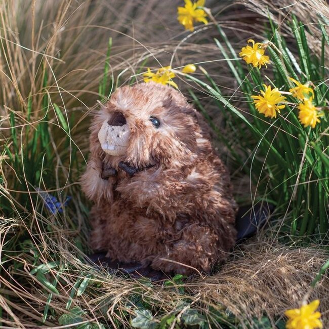 Wrendale 'CHESTER' Beaver Character - Medium Plush
