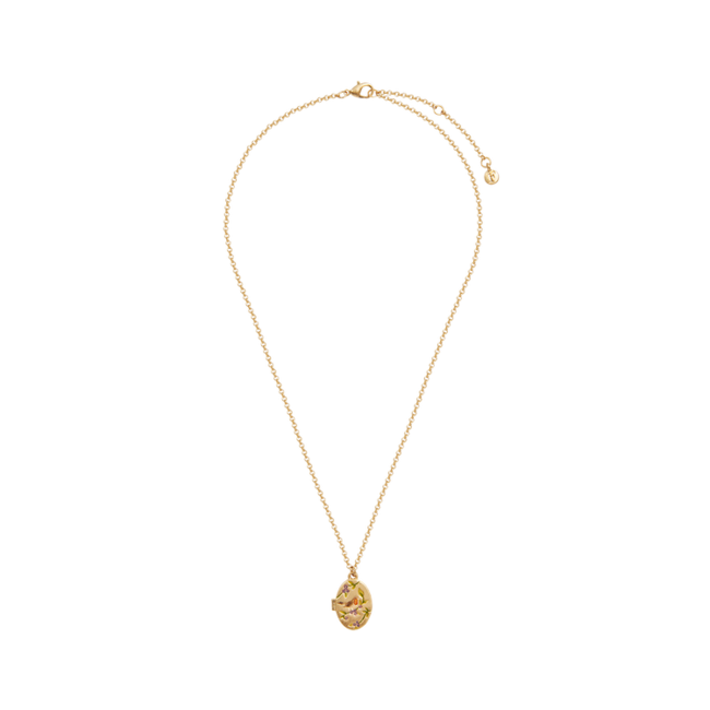 Fable England Gold Robin & Blackberry Locket Necklace