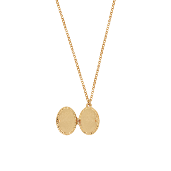 Fable England Gold Robin & Blackberry Locket Necklace