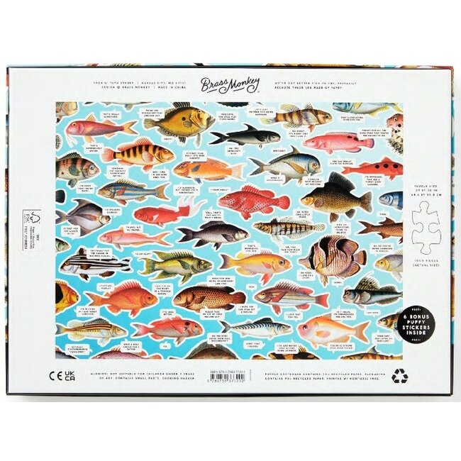 Judgy Fish – 1000 Piece Jigsaw Puzzle