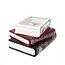 Stacked Book Planter - Edgar Allan Poe