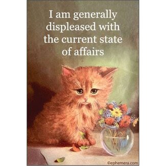 Ephemera Magnet - I Am Generally Displeased