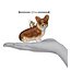 Christmas Ornament - Pembroke Welsh Corgi