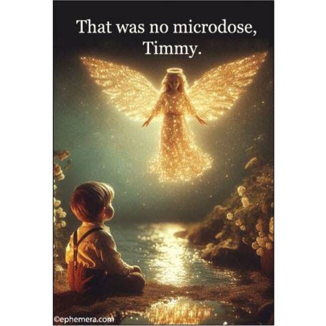 Ephemera Magnet - That Was No Microdose, Timmy