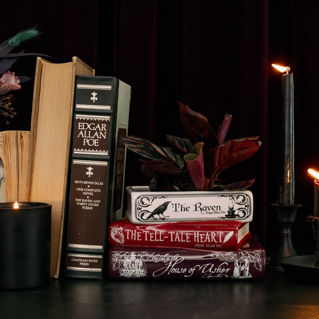 Stacked Book Planter - Edgar Allan Poe