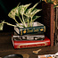 Stacked Book Planter - Literary Classics