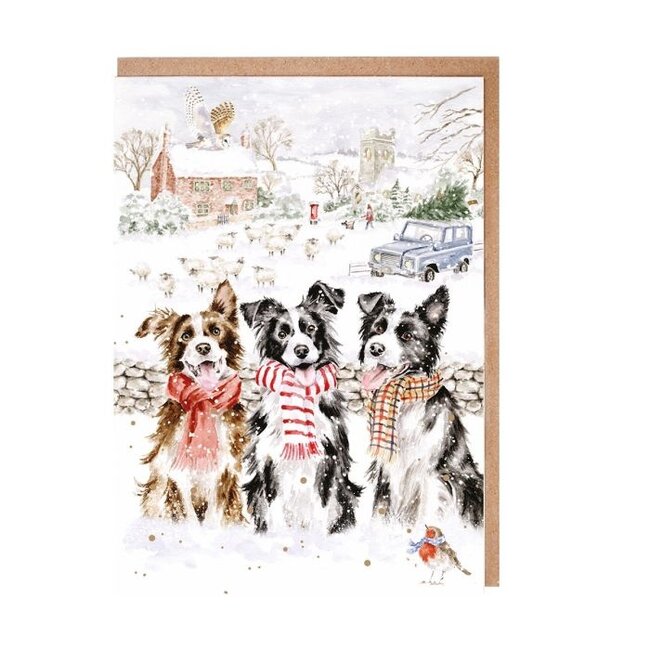 Wrendale 'WHILE SHEPHERDS WATCHED' Dog Christmas Card Pack