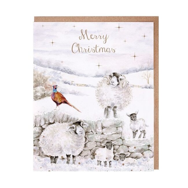 Wrendale 'MERRY CHRISTMAS TO EWE' Sheep Christmas Card Pack