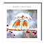 Christmas Card Pack - Robin Love Birds Snowfall