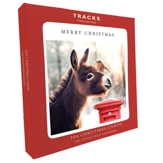 Christmas Cards - Donkey and Robin Friends