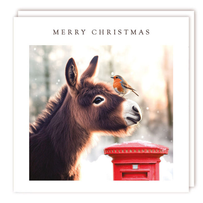 Christmas Cards - Donkey and Robin Friends