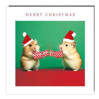 Cards - Merry Christmas Cute Animals