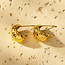Hackney Nine Aversa Hoop Earrings - Gold