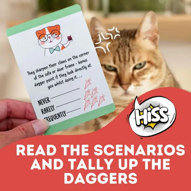 Boxer Gifts Is Your Cat Trying to Kill You Card Game