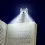 Cat Reading Light and Bookmark