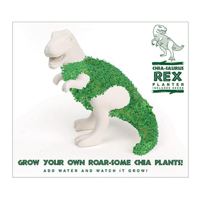 Planter-Chia-saurus Rex