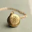 Silk Purse, Sow's Ear Small Brass Round Dandelion Locket Necklace