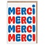 Thank You Card Set:  Merci Merci