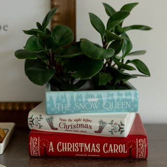 Stacked Book Planter - A Christmas Carol