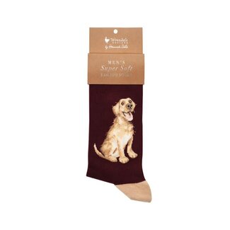 Wrendale Men Socks - 'Good as Gold' Labrador