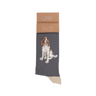 Wrendale Men Socks - Willow Spaniel