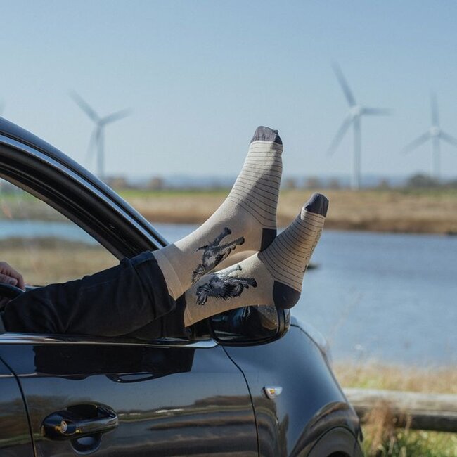 Wrendale Men Socks - 'Walkies' Labrador