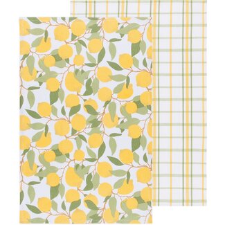 Danica Imports Lemons Coordinated Dishtowels Set of 2