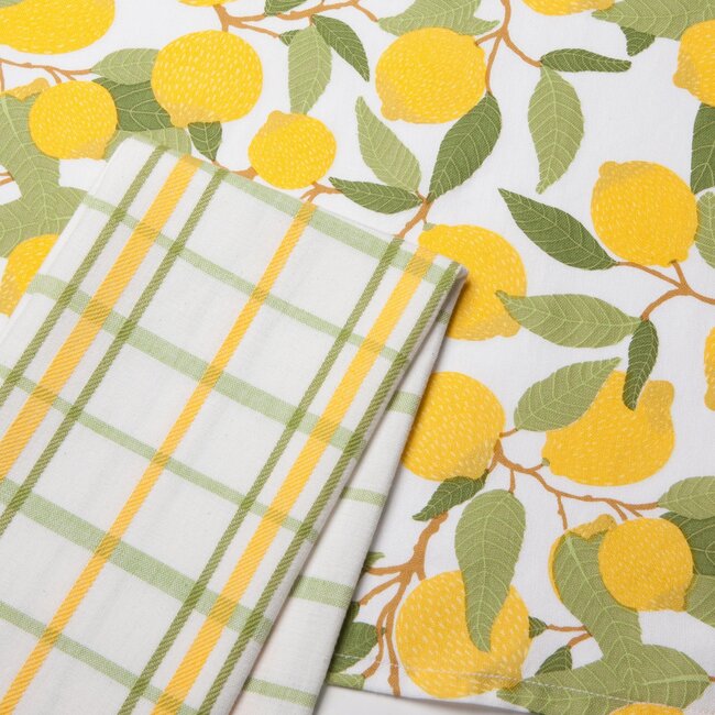 Danica Imports Lemons Coordinated Dishtowels Set of 2