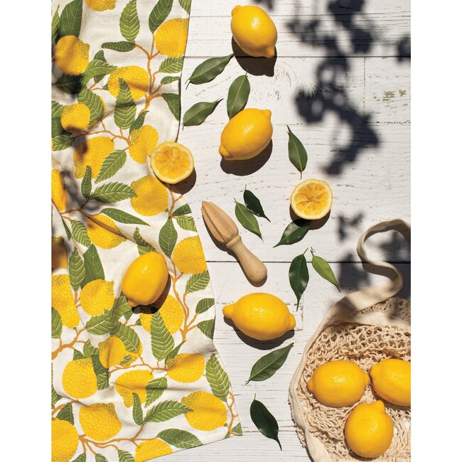 Danica Imports Lemons Coordinated Dishtowels Set of 2