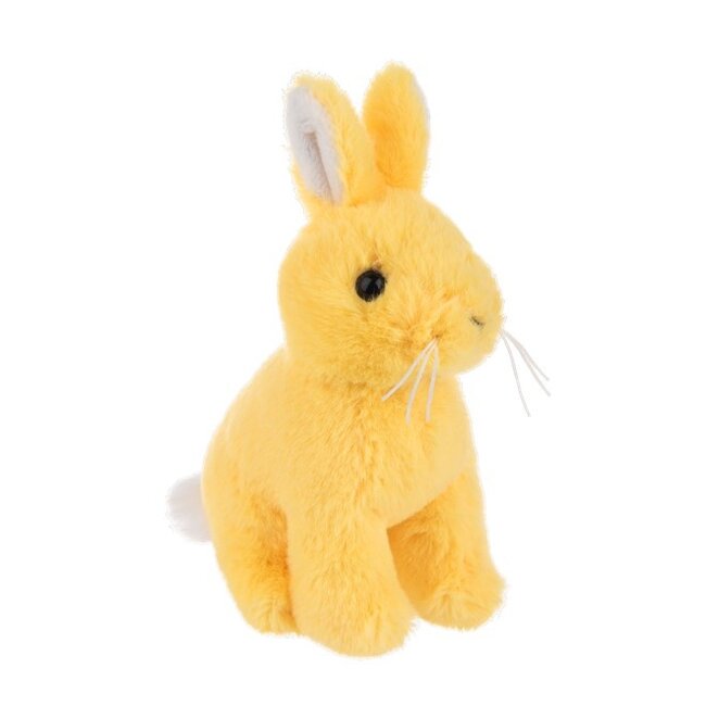 Rainbow Hops Bunnies