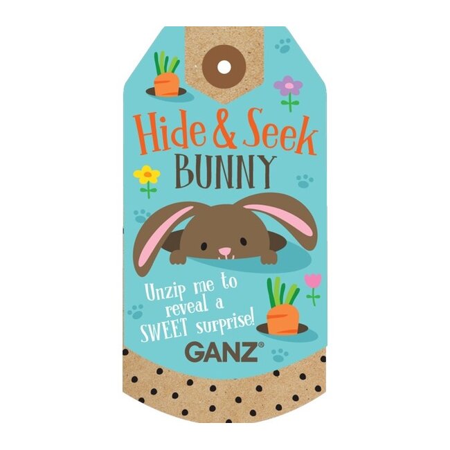 Plush Hide & Seek Bunny