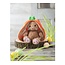 Plush Hide & Seek Bunny