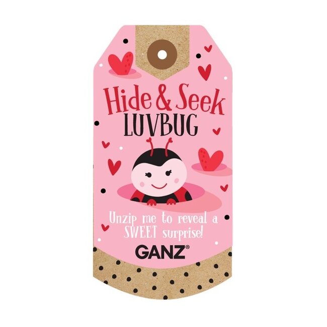 Plush Hide & Seek Luv Bug