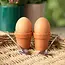 Plant Pot Egg Cup Set with Shovel Spoons