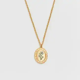 Fable England Forget Me Not Cameo Necklace
