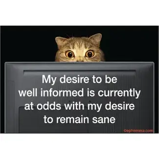 Ephemera Magnet - My Desire To Be Well Informed Is Currently At