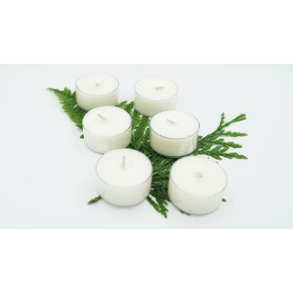 Rainwater Soy Wax Tea Lights -Set of Six - Journey